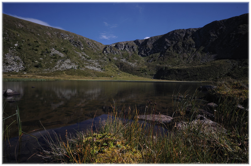 Lausnitzsee  Schwarzwand