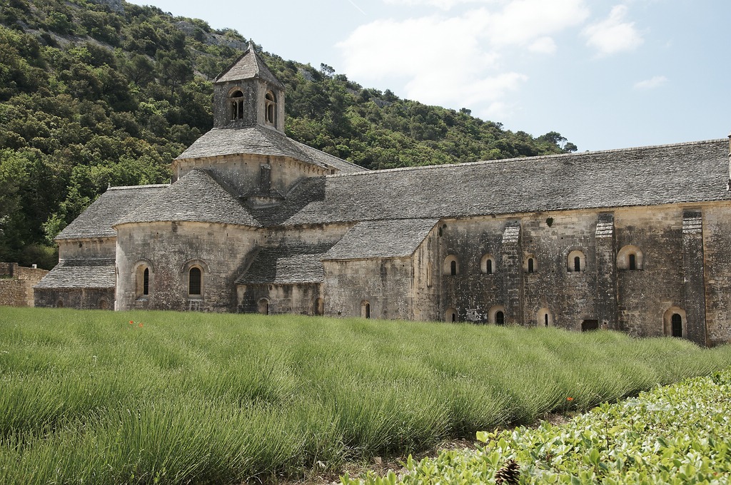 Lavendel3