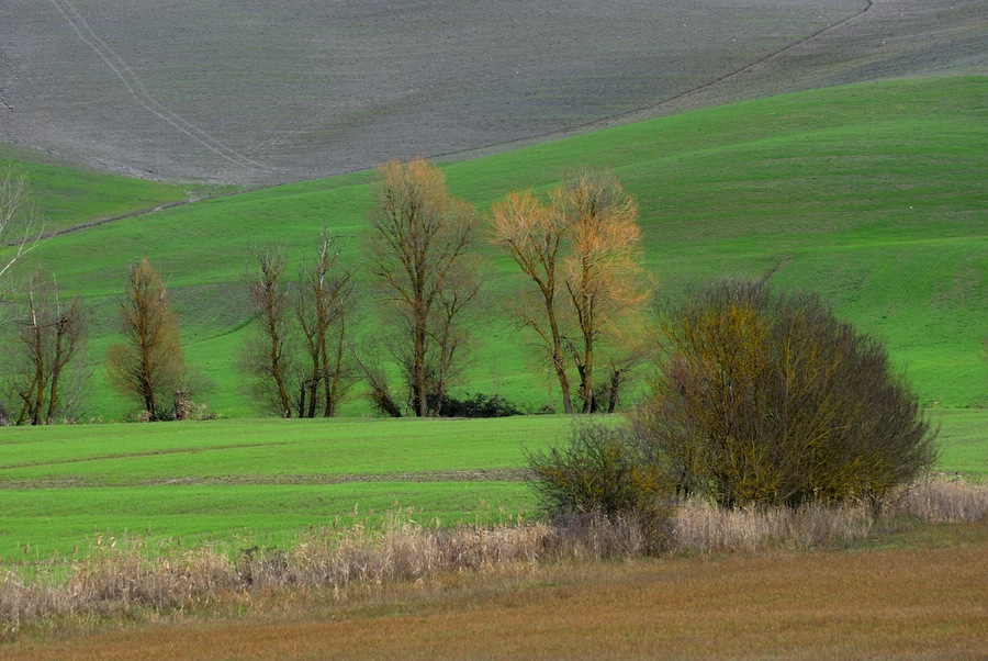 Le Crete #5