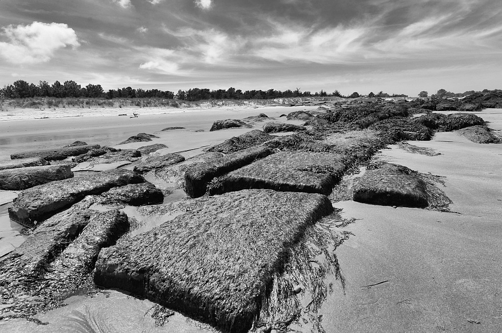Le Verdon 115 DxO