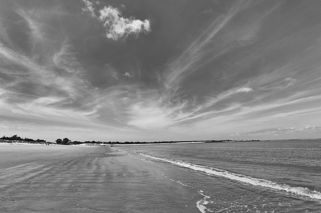 Le Verdon 118 DxO
