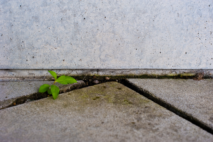Leben im Beton