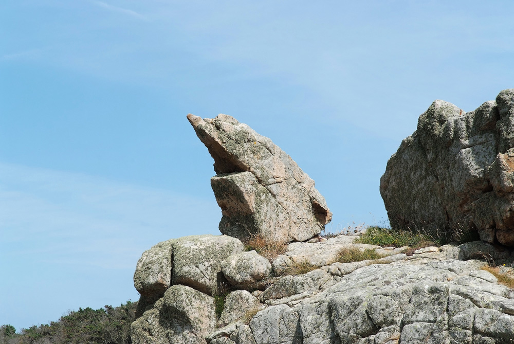 lebendesteine