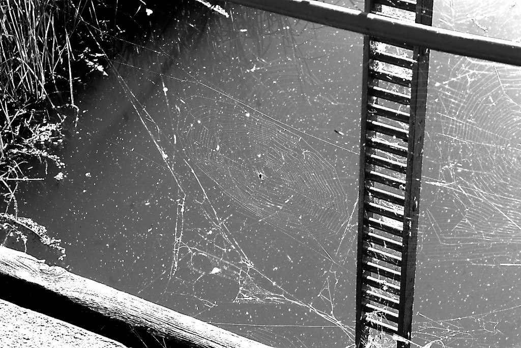 LebenImSchieber 0043 110611 SW 1024x685 90a