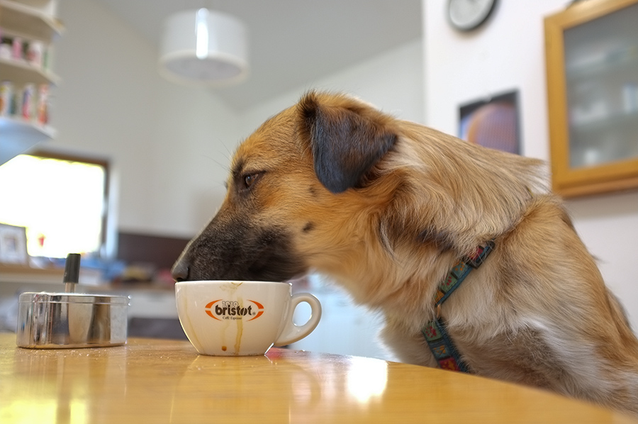 lecker Cappuccino