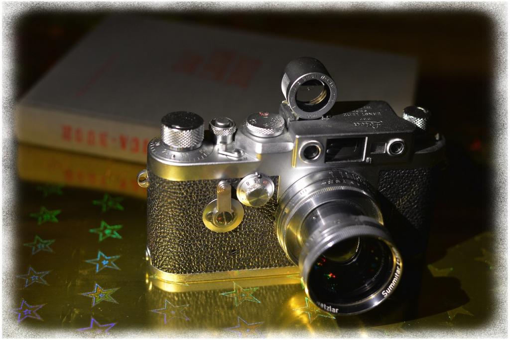 Leica IIIg