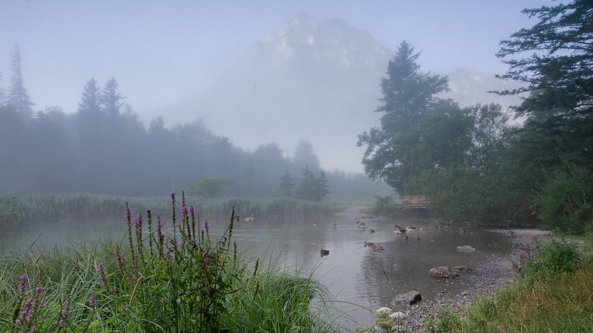 Leopoldsteinersee