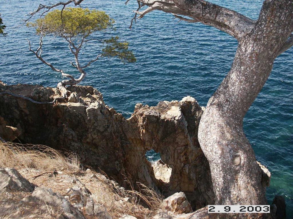 L'Estagnol, Cote d'Azur (Minolta Dimage S414, meine erste Digitale)