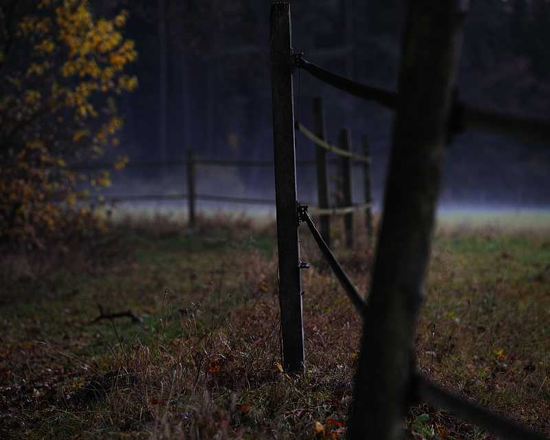Letztes Licht 2