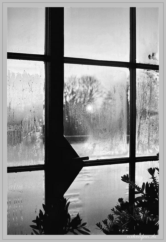 Letztes Licht