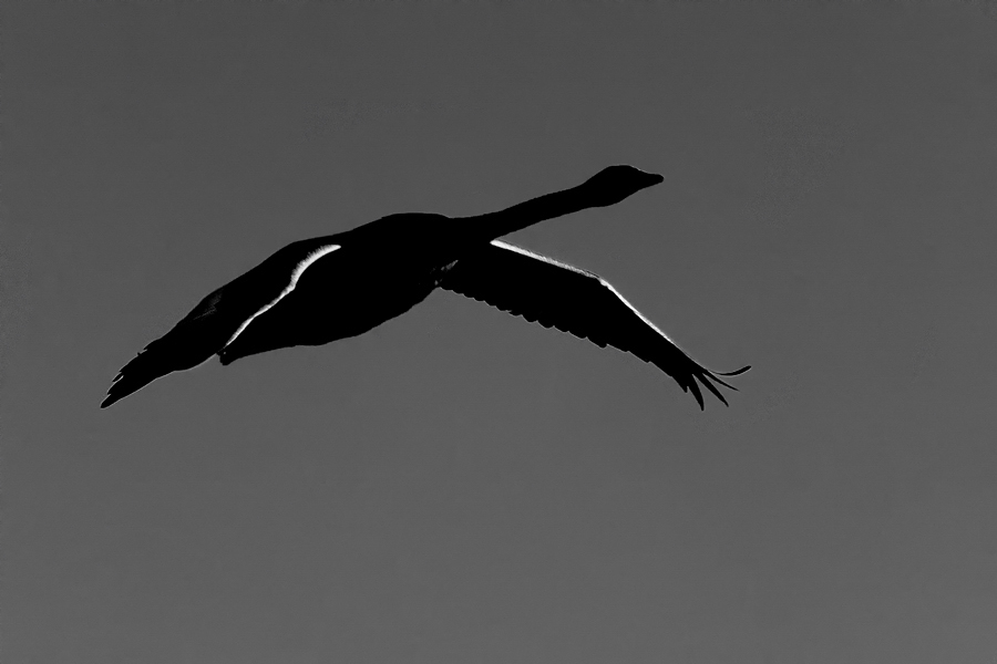 letztes Licht