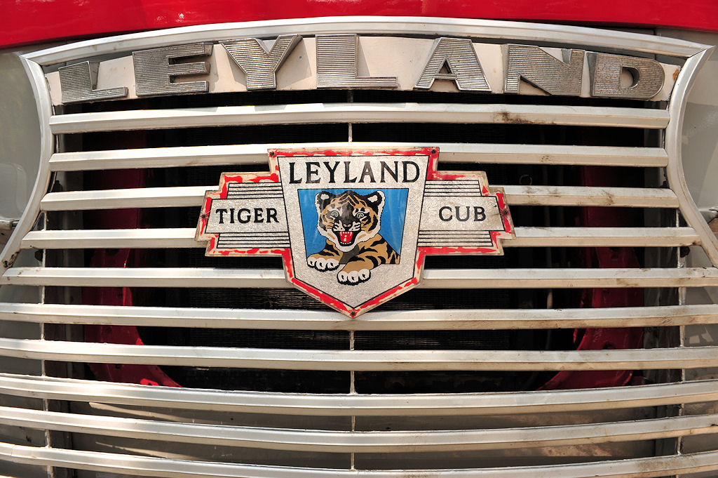 Leyland Bus in Victoria auf Gozo 
(8117)