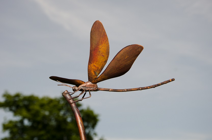 Libelle