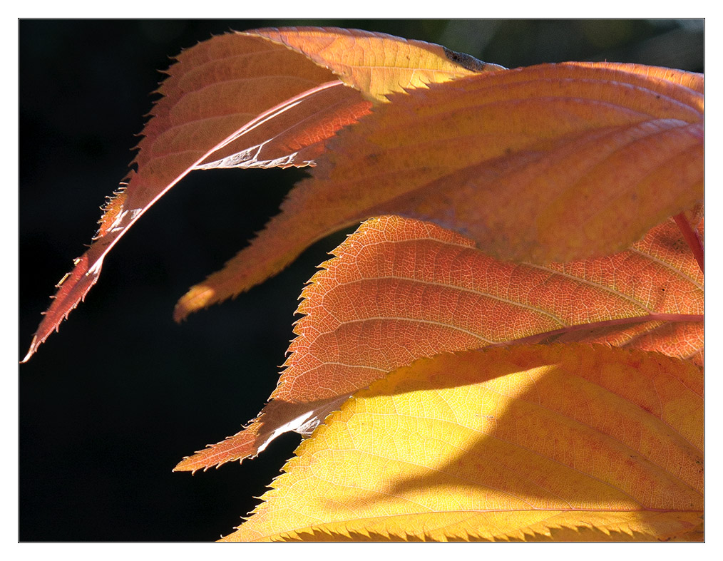 Licht 2