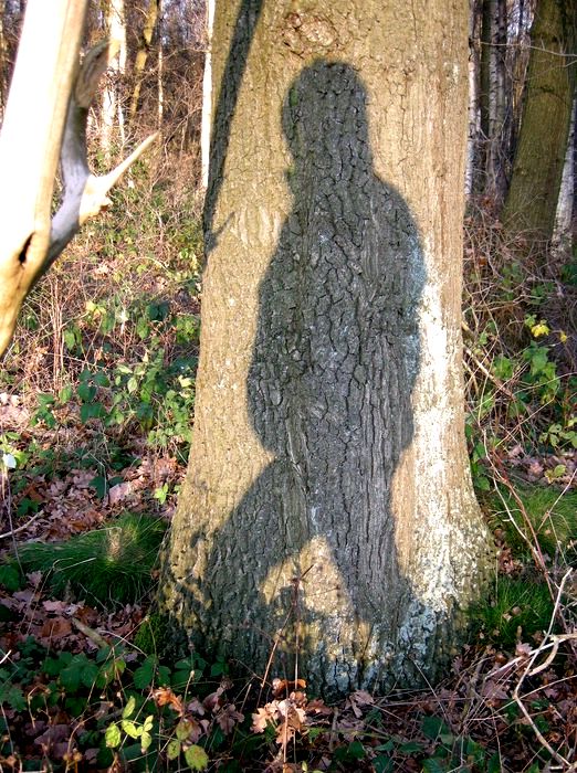 Licht 2