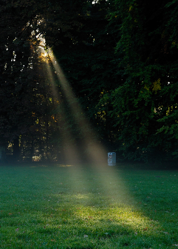 Licht im Nebel 2