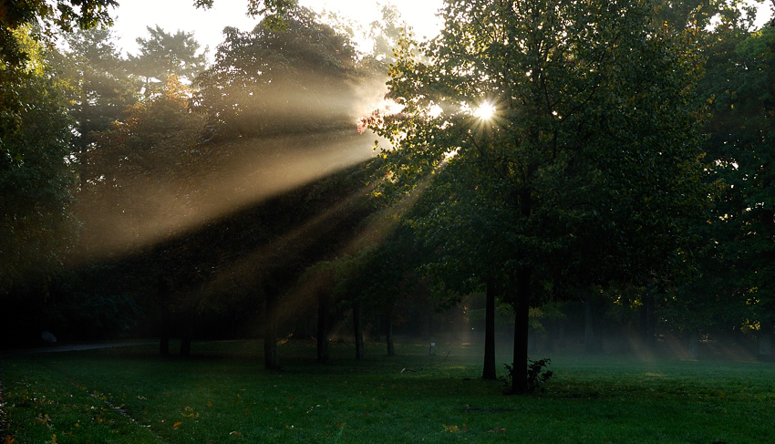 Licht im Nebel 3