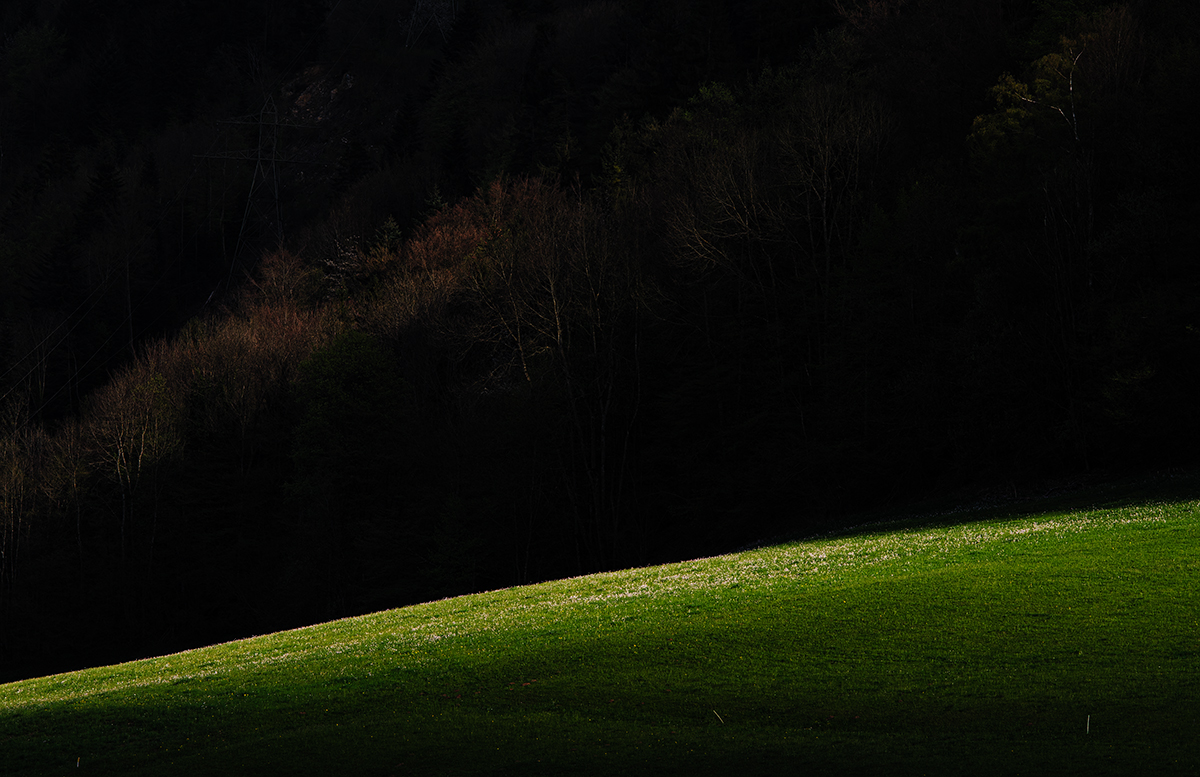 Licht.jpg