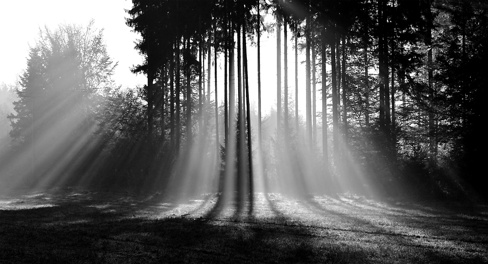 Licht sw 03