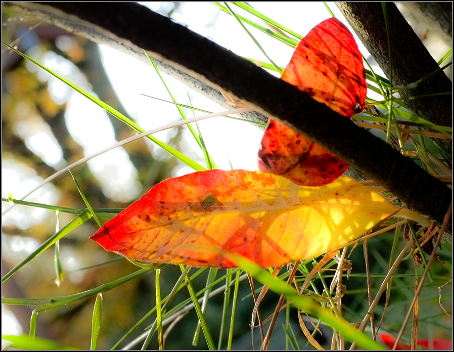 Licht u Schatten 2