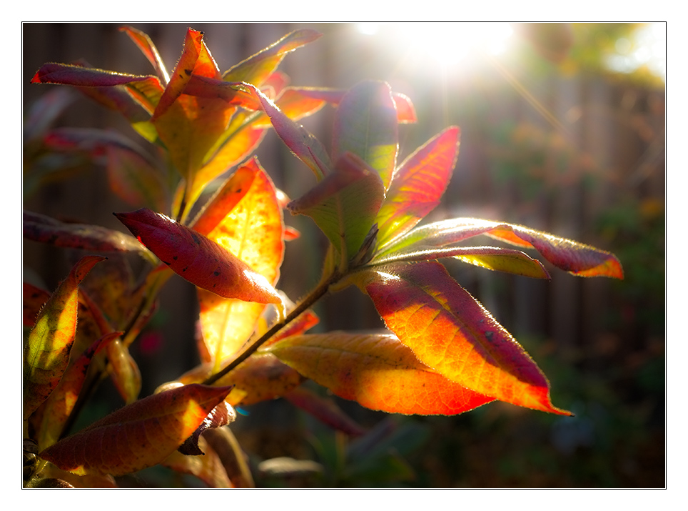 Licht u Schatten 3