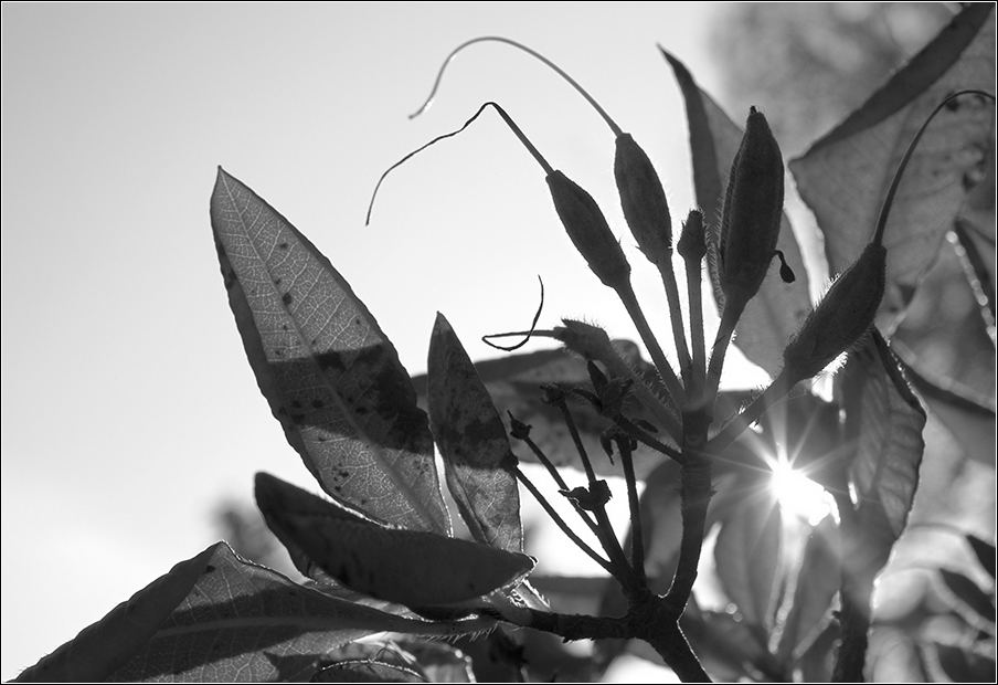 Licht u Schatten 7