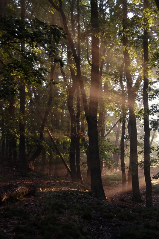 Licht und Schatten 2