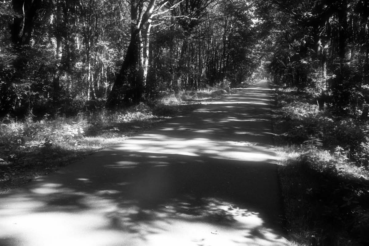 Licht und Schatten BW.jpg