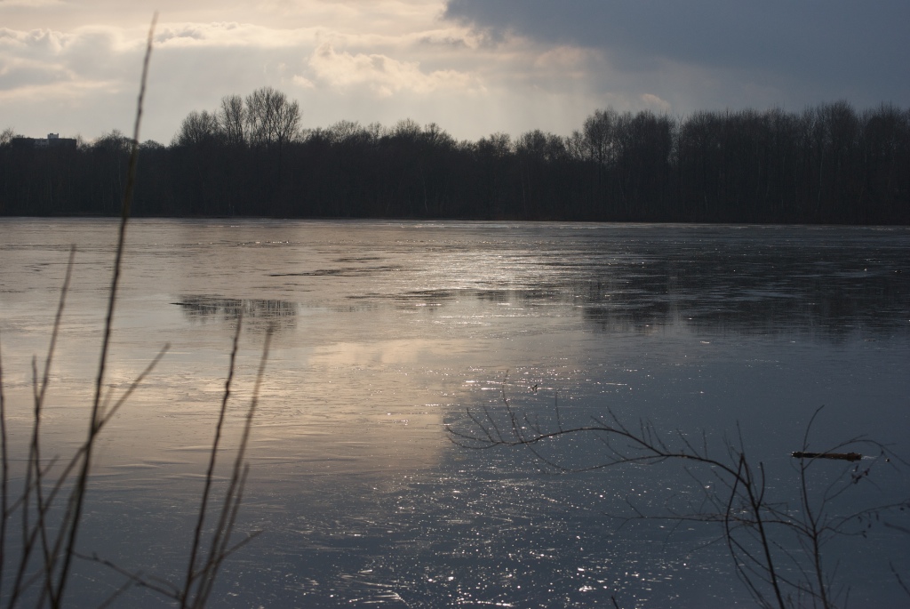 Licht