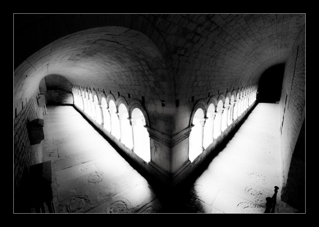 Licht