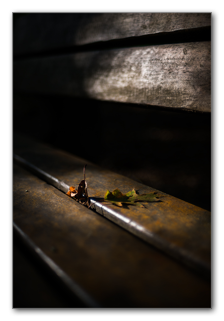 licht