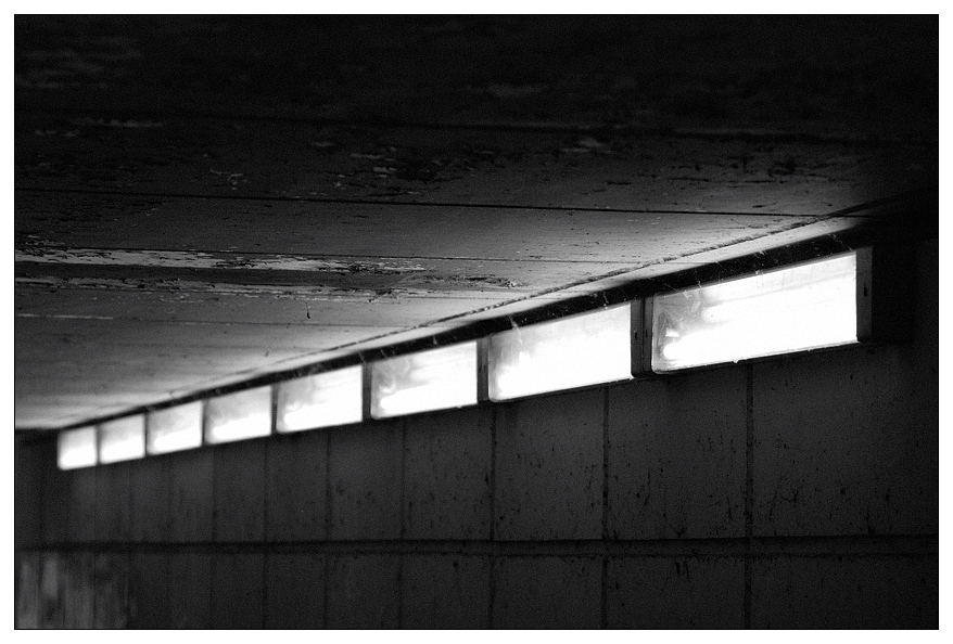 licht