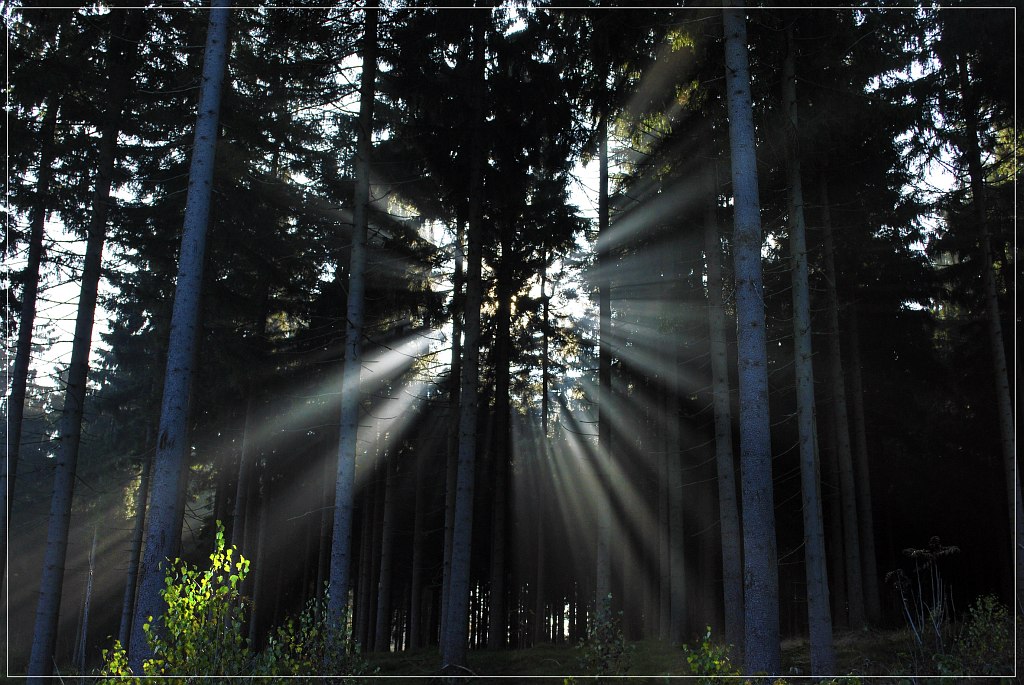 Licht