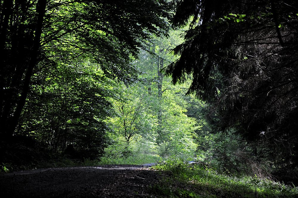 licht05