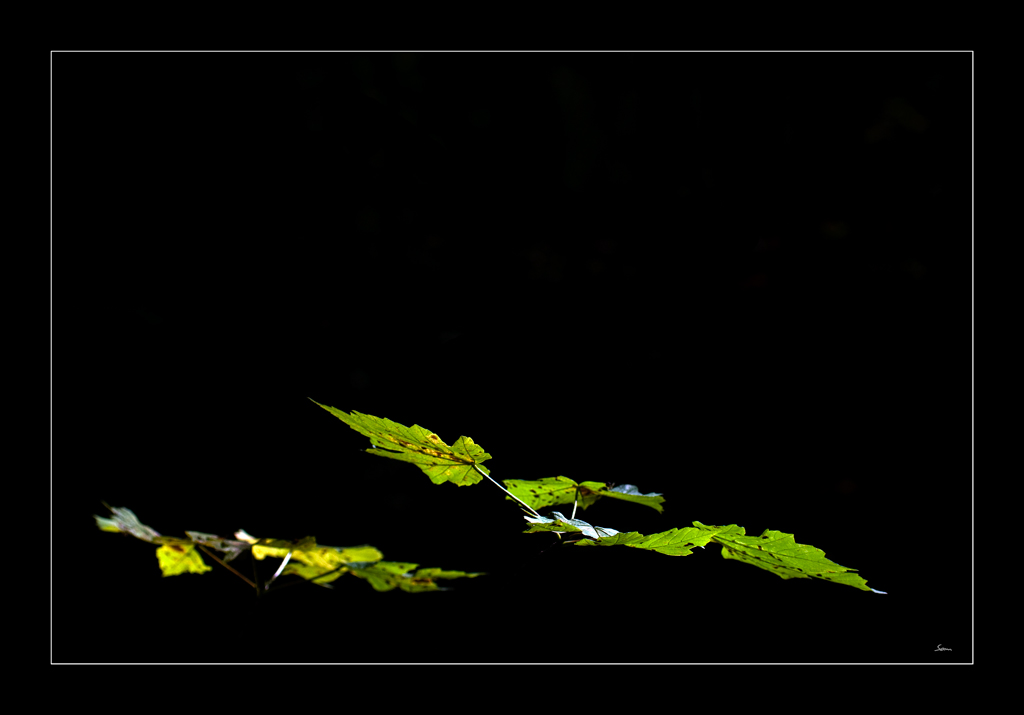 LichtDSC 0123