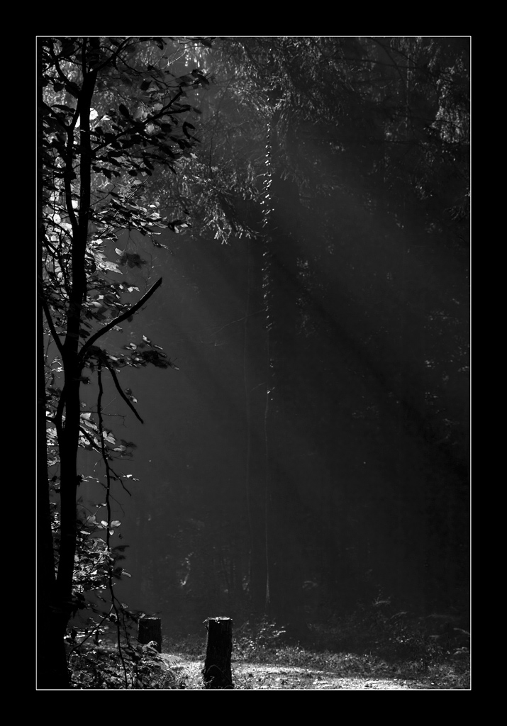 LichtDSC 0178
