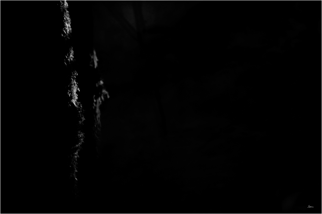 LichtDSC 0256