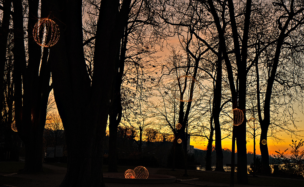 Lichter_Q1000833_12.jpg