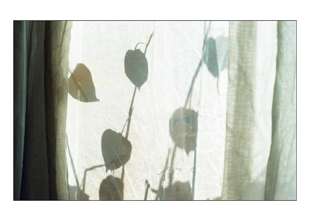 LichterLinienSchatten