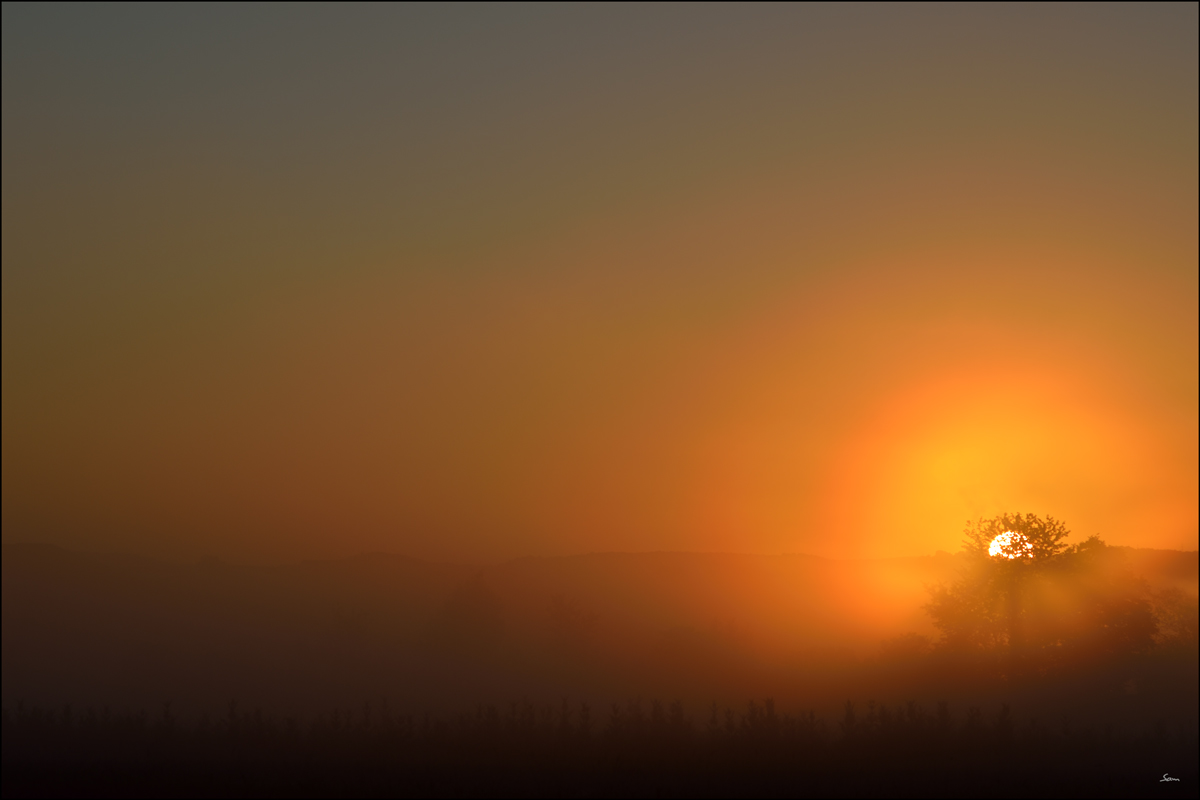 LichtPZ1 4961