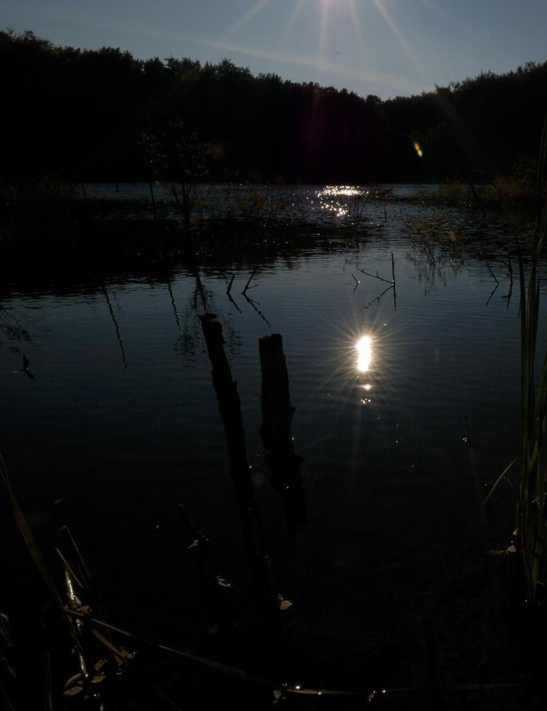 Lichtspeigelung