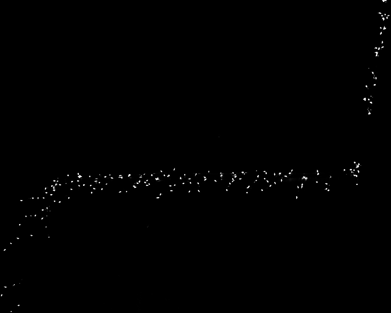 Lichtspuren2