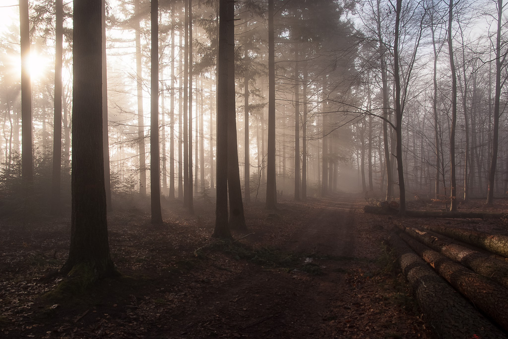 Lichtstrahlen 3791