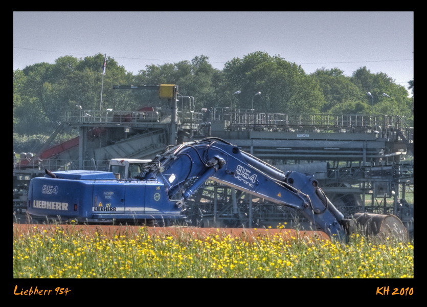 Liebherr954