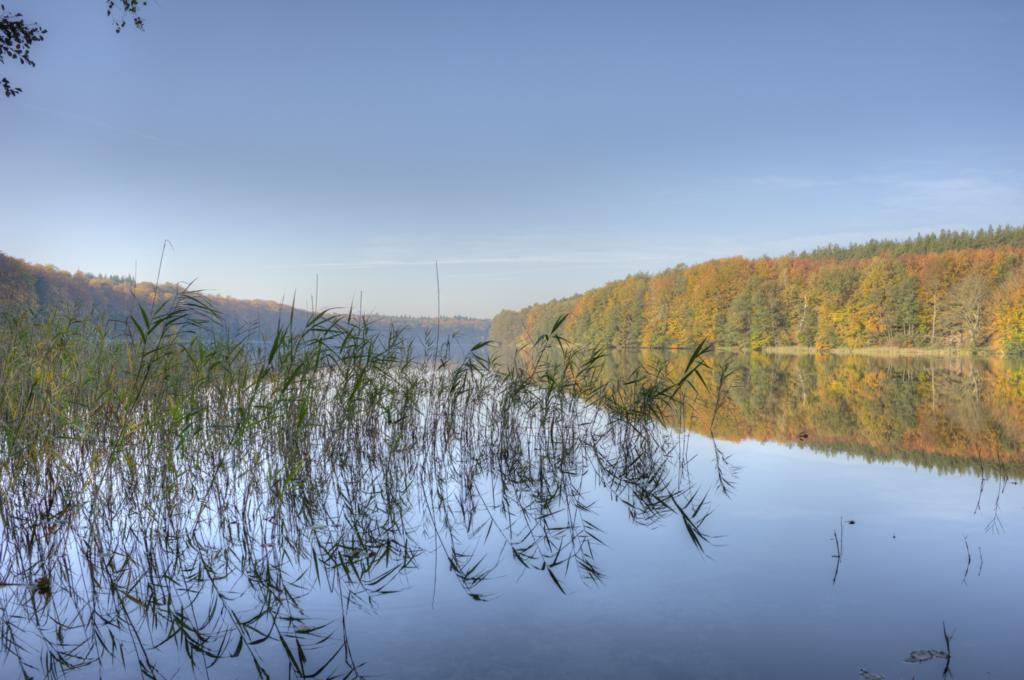 Liepnitzsee am Morgen
