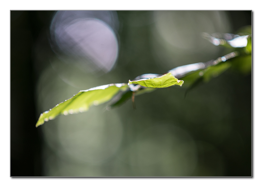 lighning1