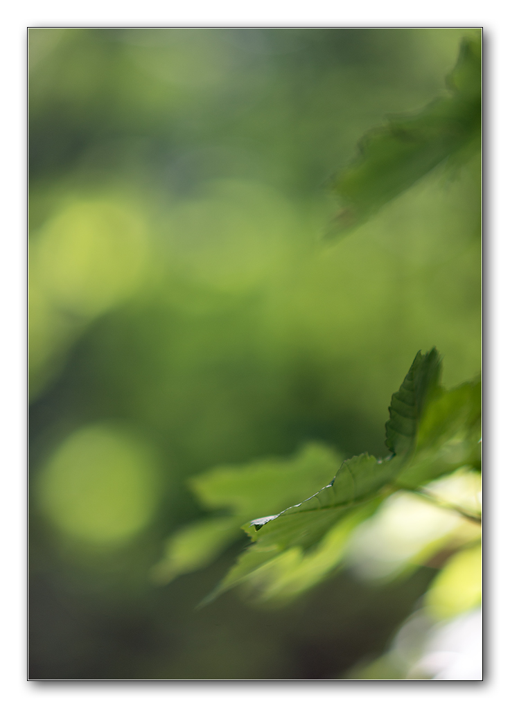 lighning3