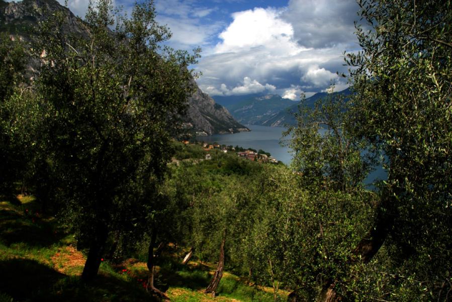 Limone gardasee kl