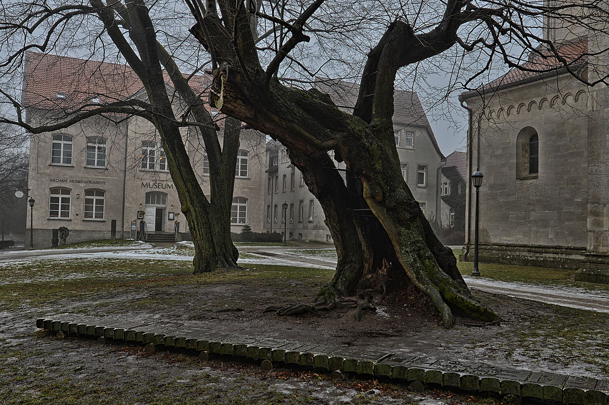 Linde 2