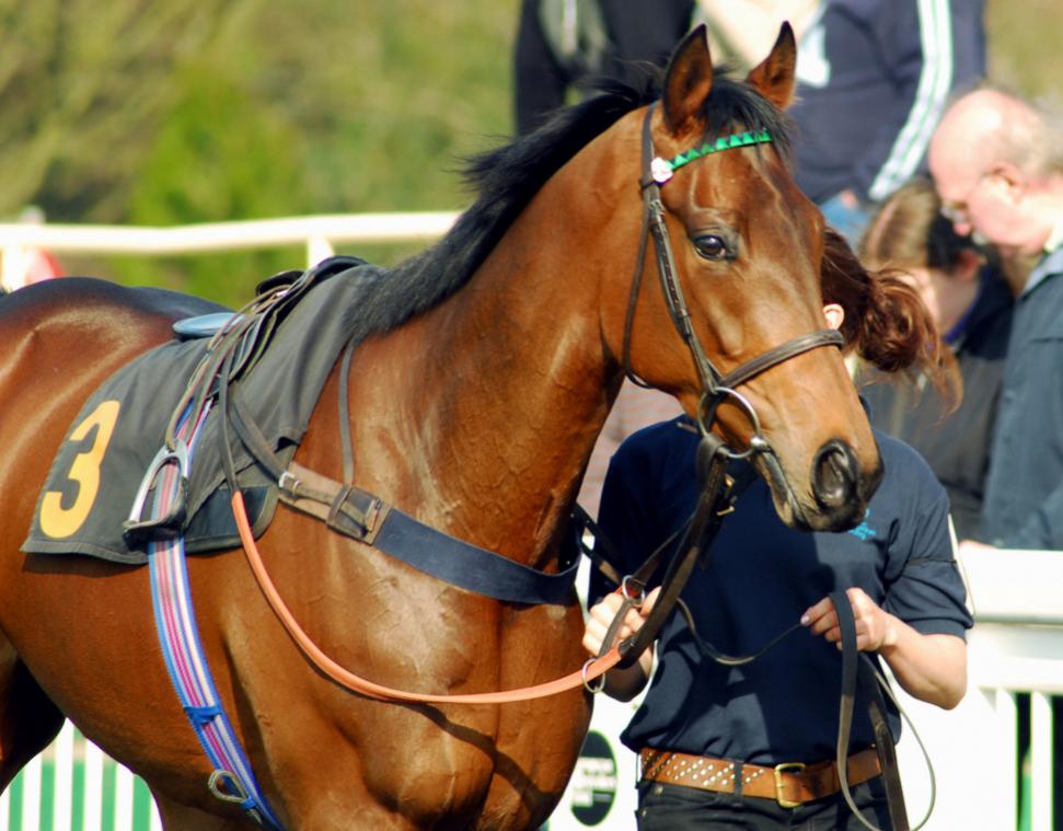 Lingfield Park Racecourse, Sussex, UK